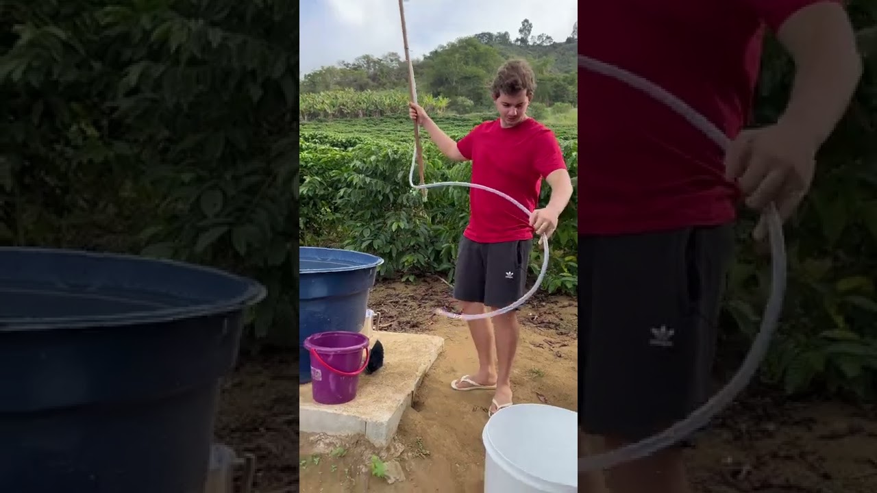 Cómo limpiar el tanque de agua sin vaciarlo !! 😱