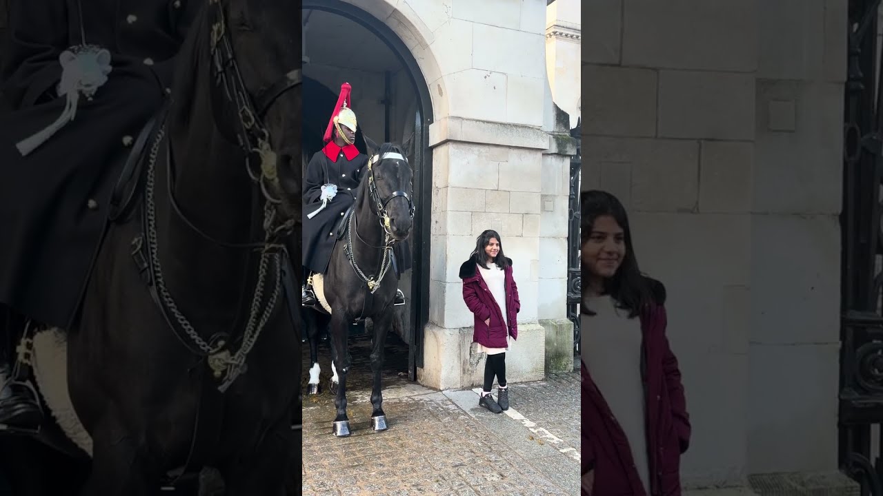 Tourists’ Smiles Say It All at Horse Guards London