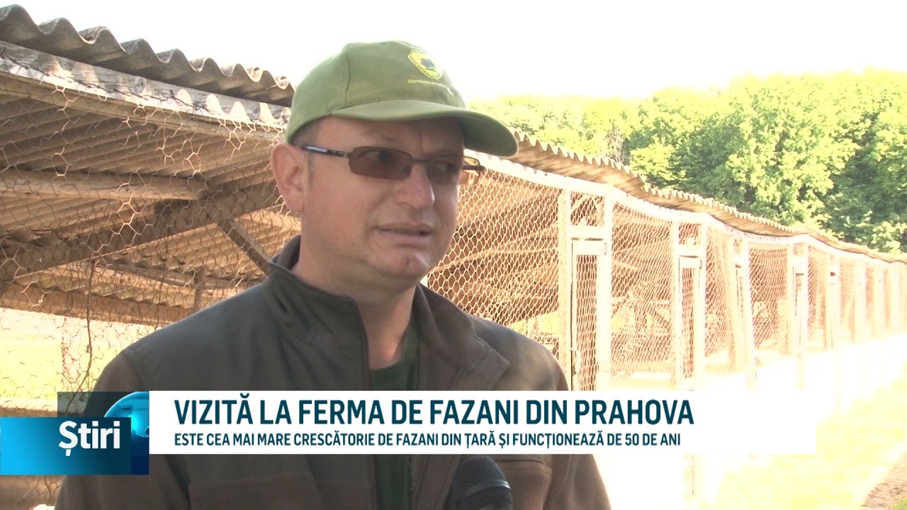 vizita la ferma de fazani din prahova