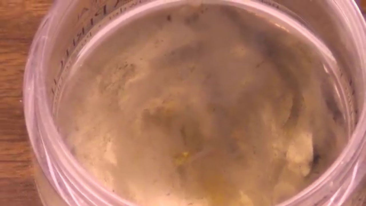 Iron Bacteria? Slime Bacteria?  sample one day later, exposed to air