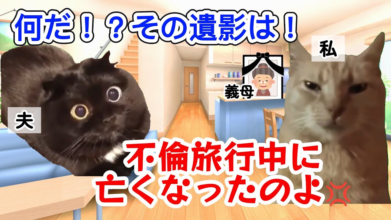 【スカッと猫ミーム】義母の死も知らずに旅行中の夫に“言われた通り”してみた結果 #猫ミーム