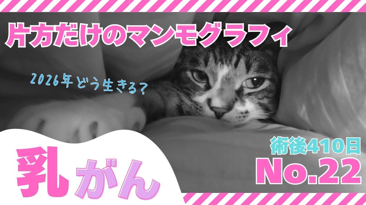 【乳がん記録 22】　術後410日 全摘手術後１年検診の結果について