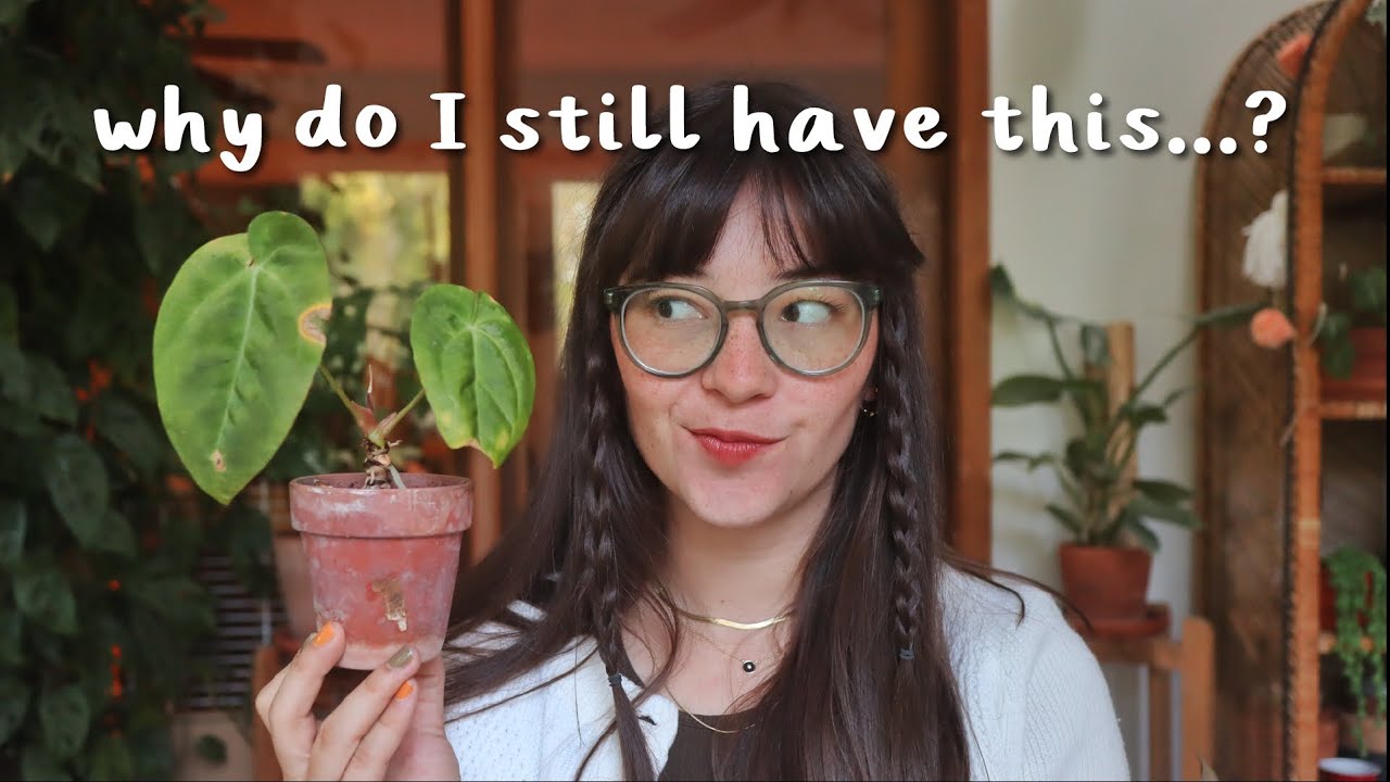 I wouldn't care if these plants died...😬