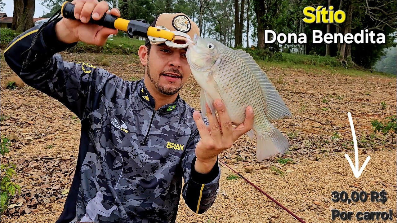 TILAPIA no Anzol a PESCARIA toda - PESQUEI no Sito Dona Benedita