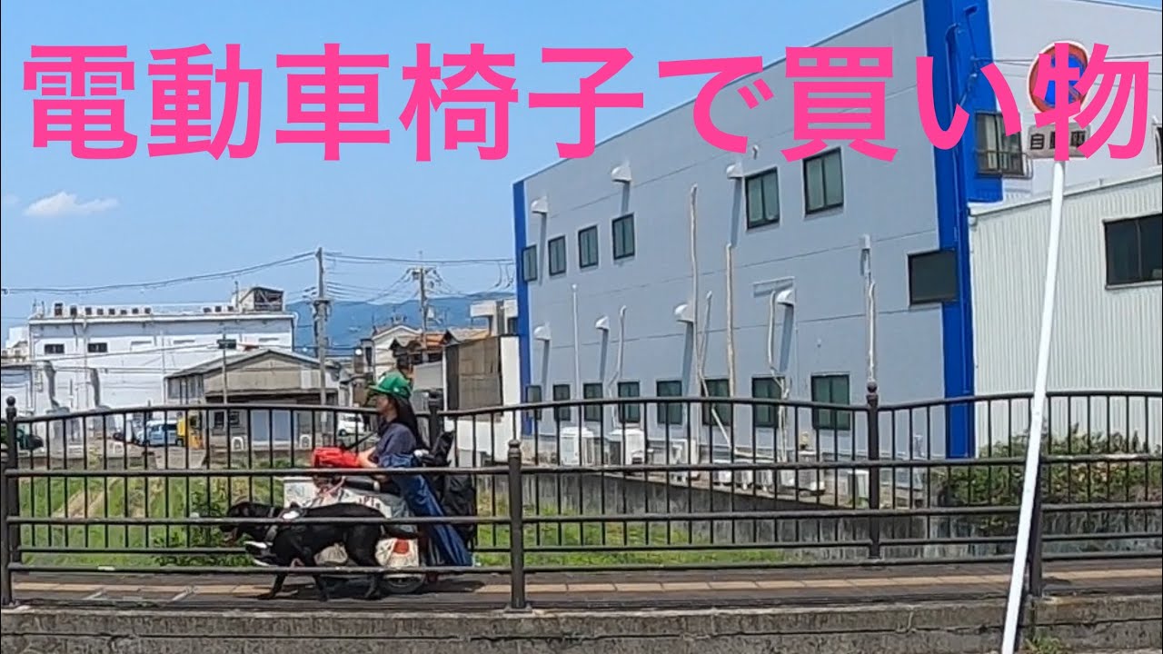 ［電動車椅子］#買い物#片麻痺 #高次脳機能障害 #ラブラドール #片麻痺youtuberの会