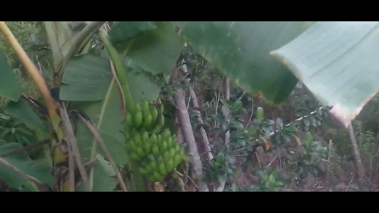 18 de fevereiro de 2026