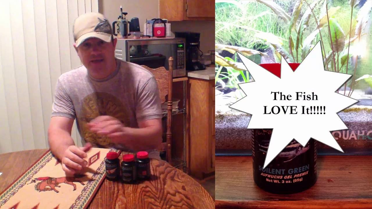 Repashy Food - All About It, How To Prepare It, And Why I Like It