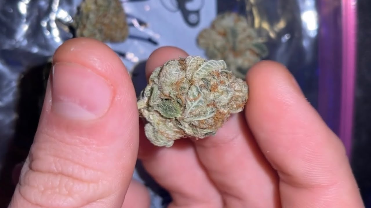 White Cookie Strain Review!!