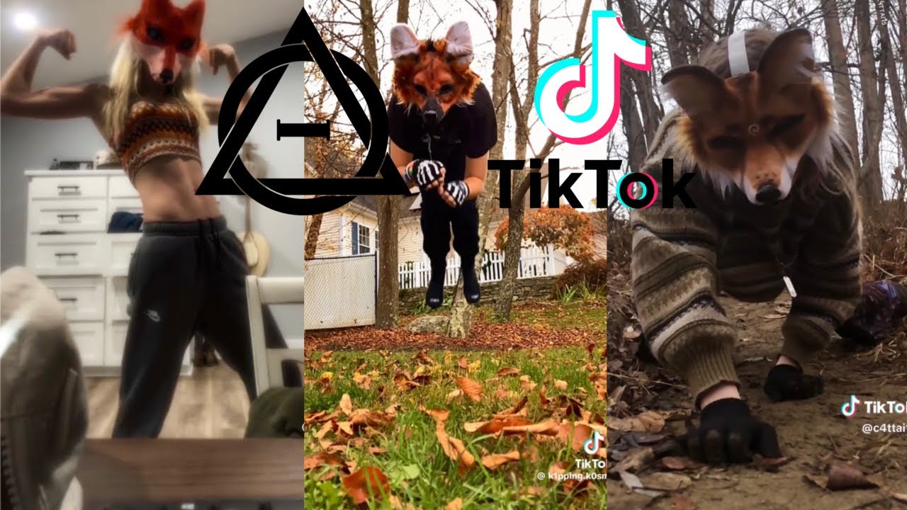 Therian and Quadrobics TikToks || Compilation 🐾🪱🪲|| Alterhumans of TikTok #66