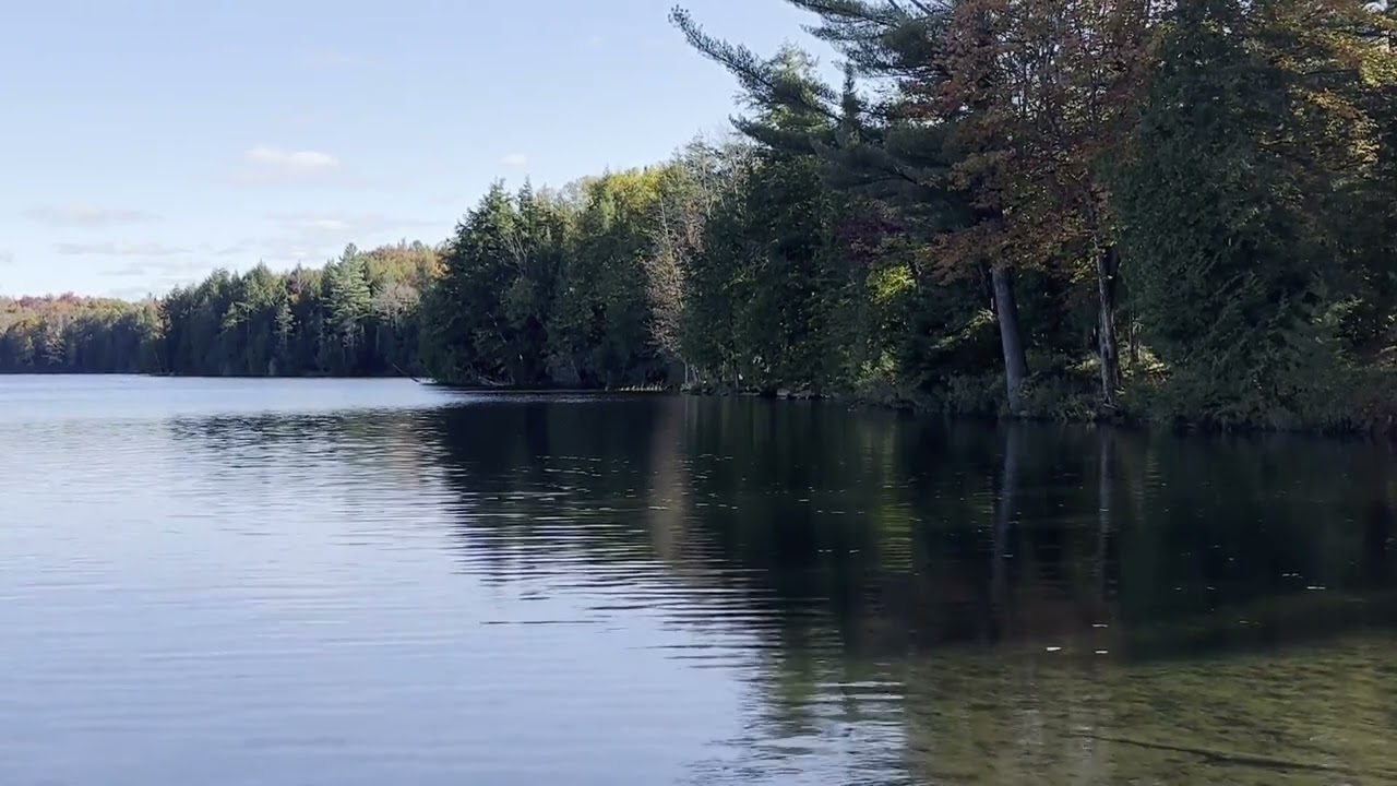 Lakeside View