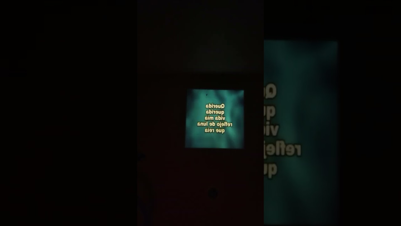 Un gato en la oscuridad 