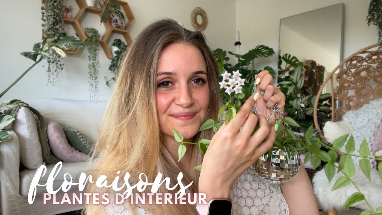 Mes plantes d'intérieur fleurissent !