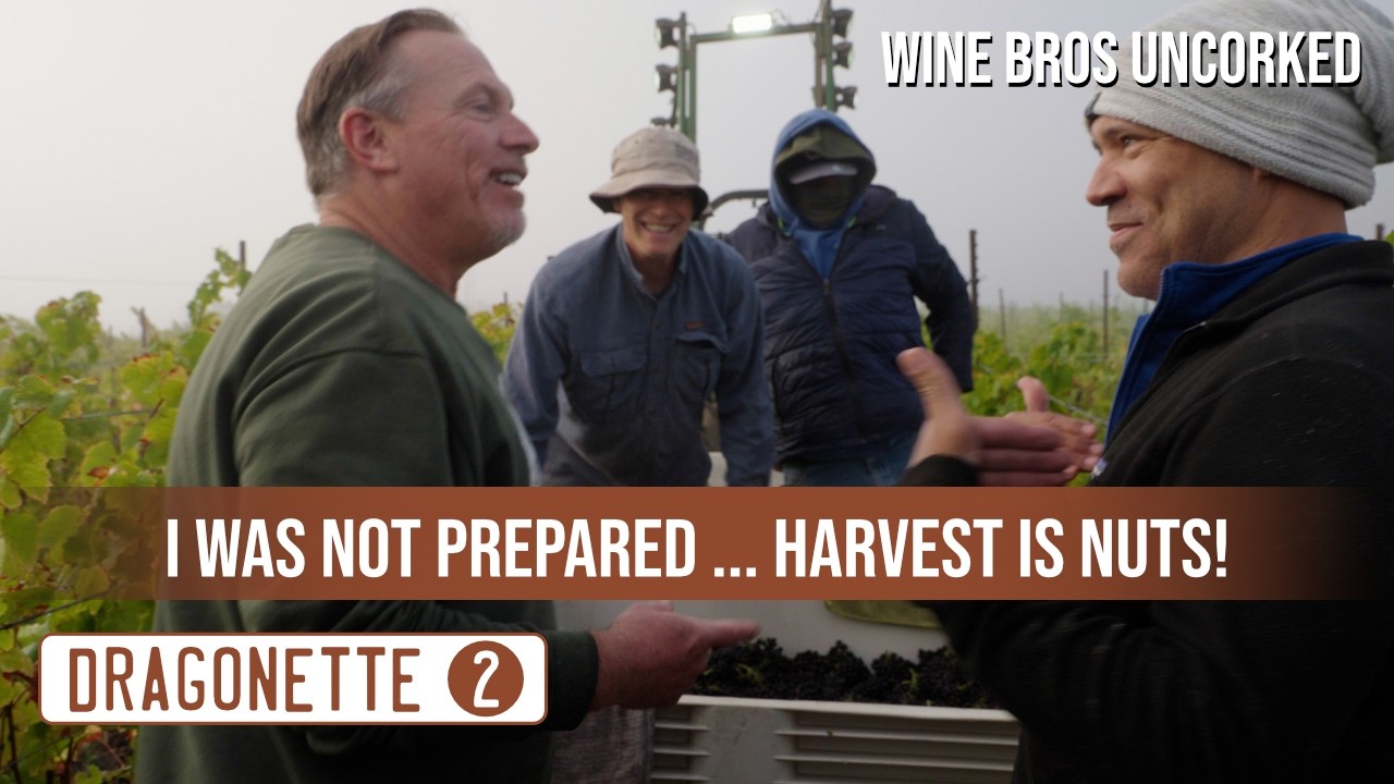 🚜 Dragonette Cellars • Harvest at Bentrock Vyrd (Sta. Rita Hills) • Wine Bros Uncorked • Chapter 2