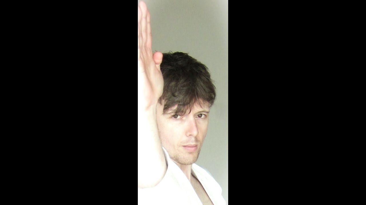 Tekki Sandan Kata (Naifanchi Sandan): performed slowly by André Bertel