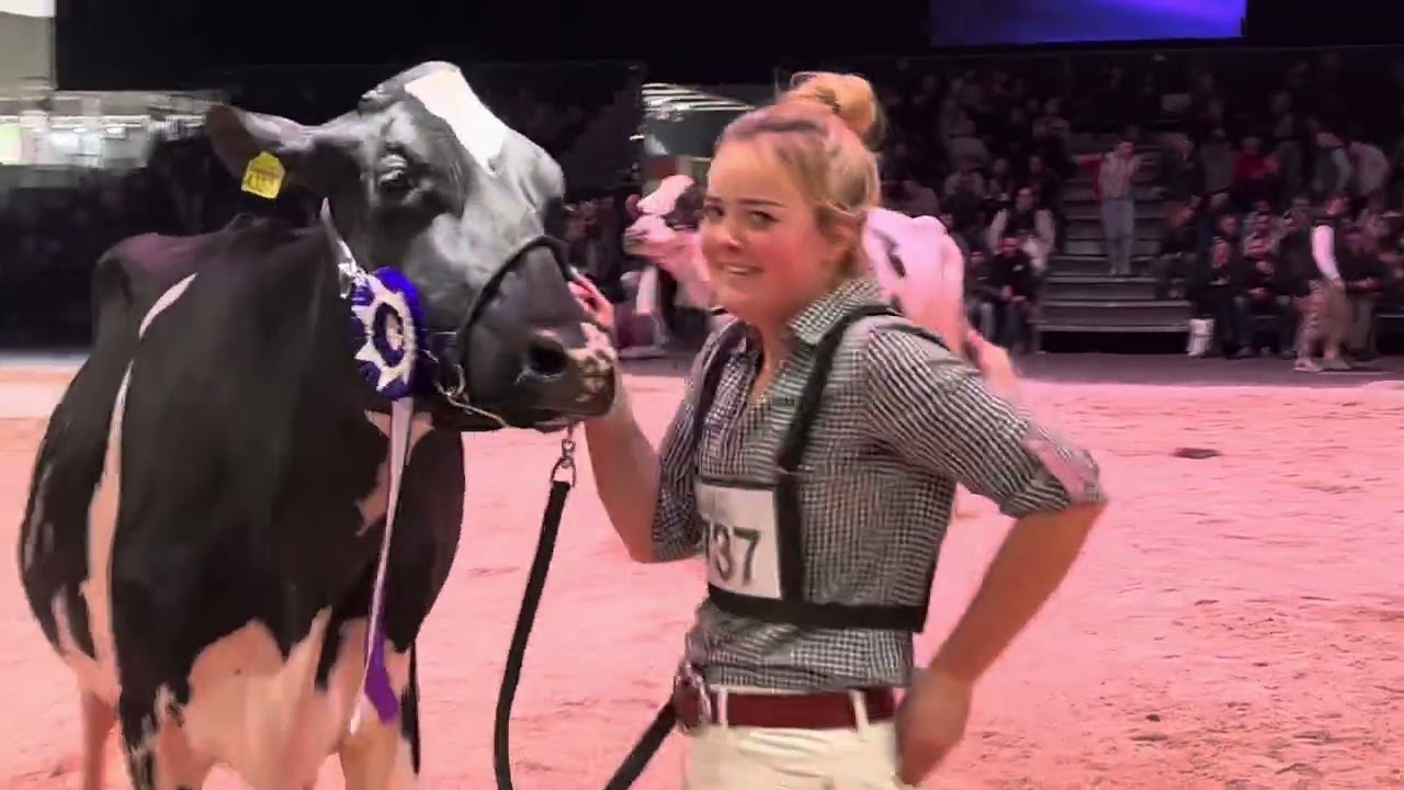Champion Junior Holstein Swiss Expo 2024