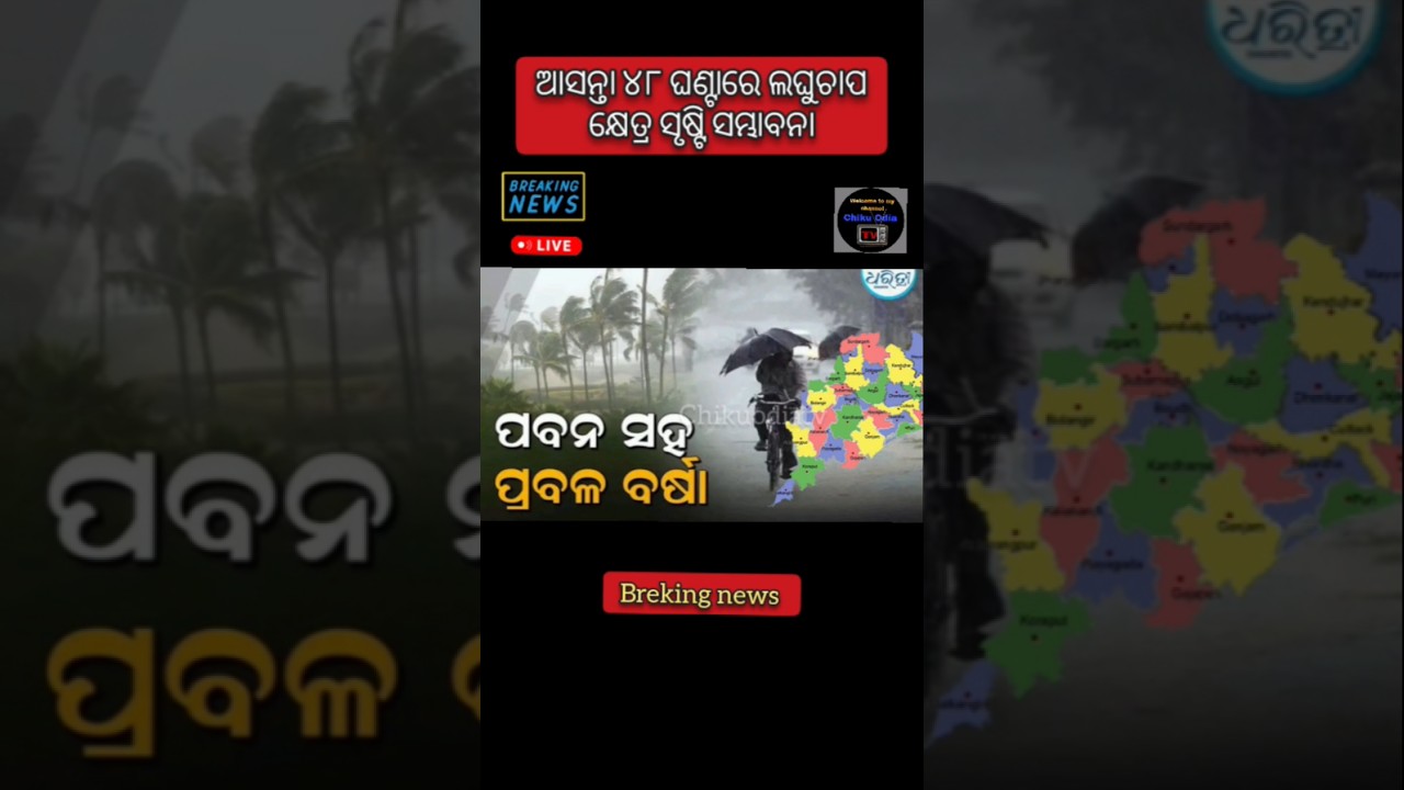 odisha cyclone update/odisha rain update/today morning news/odia news/odisha news/news/rain news