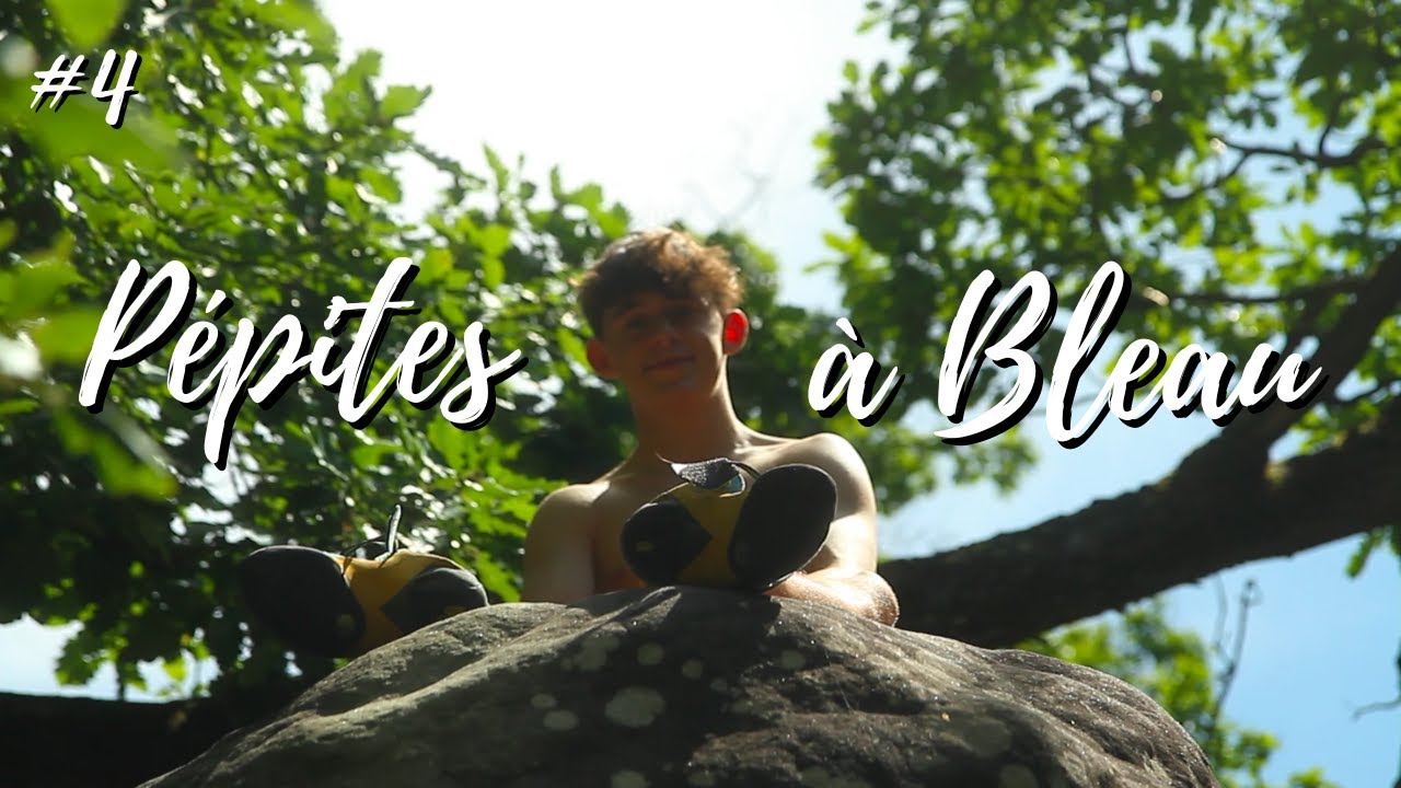 Pépites à BLEAU | Bloc à Fontainebleau - La Roche d'Hercule