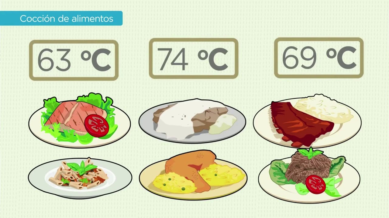 FUENTES DE CONTAMINACI&Oacute;N DE ALIMENTOS