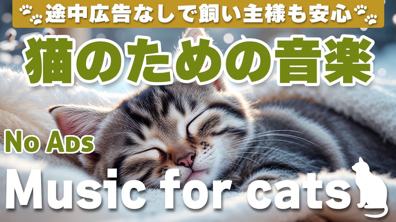 猫が落ち着く音楽 (12時間途中広告なし) /猫をリラックスさせるピアノ音楽 / No Ads/12 hours/piano/Relaxing music for cats_vol.273