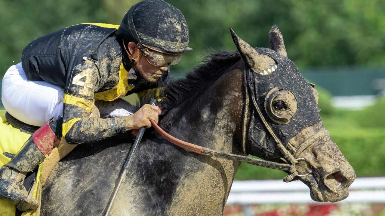 POCA MUCHA (Joel Rosario) - De La Rose Stakes