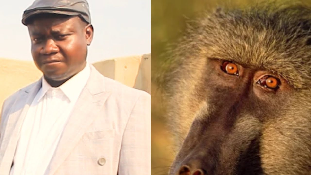 Gudo Nenyuchi Zvakatumwa kundobvunza chikwereti  Part 2        +263788708818