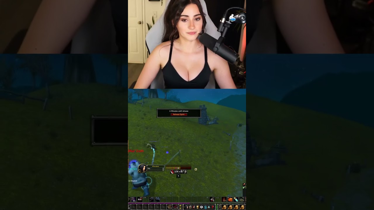 PalmBee stream sniped by a griefer on WoW Classic HC :(