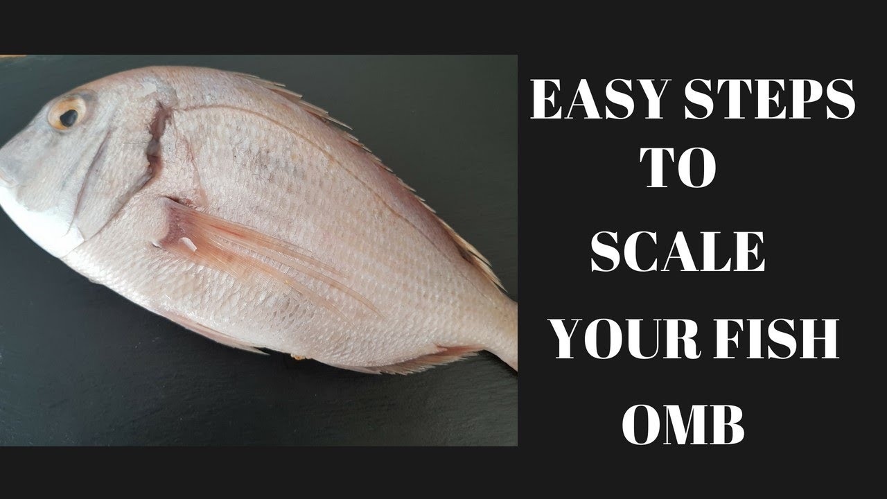 BACK TO BASICS - EP 2: HOW TO CLEAN  YOUR FISH WITHOUT ANY MESS
