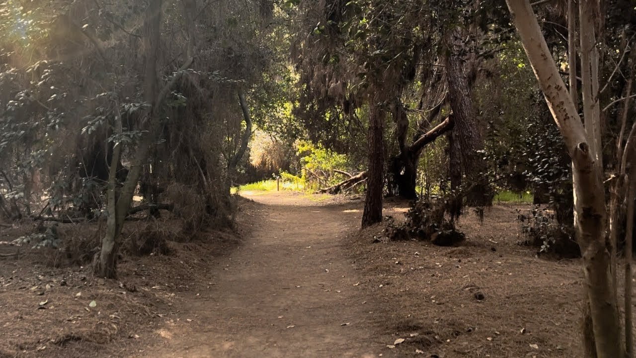30 Min Peaceful El Dorado Park Treadmill Walk: Escape to California 4K Scenery