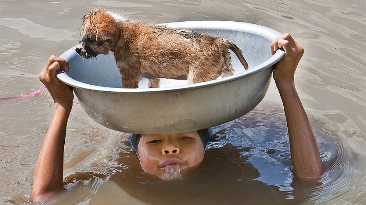 Crianças Que Vão Restaurar Sua Fé na Humanidade