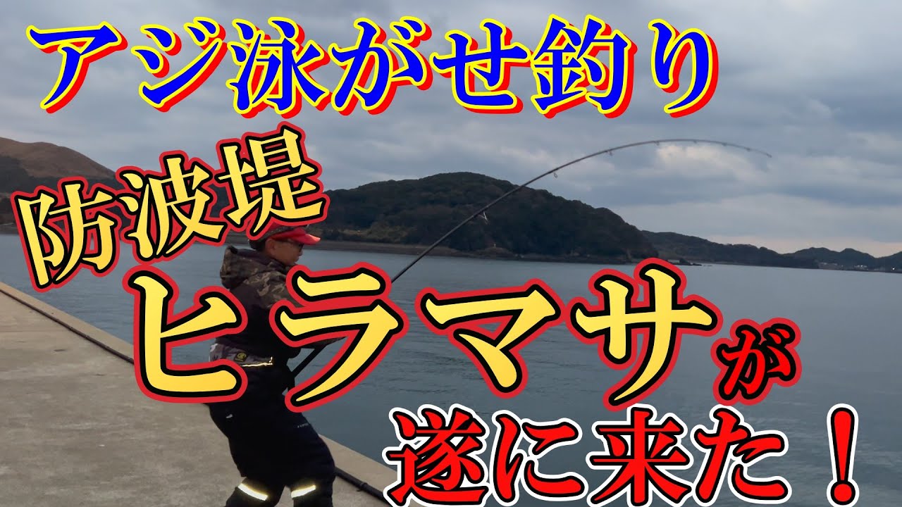 【防波堤・アジ泳がせ釣り】遂に防波堤から大型ヒラマサがＨＩＴ～♪釣り上げることが出来るのか？＃釣り＃fishing＃防波堤釣り＃泳がせ釣り＃アジ泳がせ釣り＃ウキ仕掛け＃ヒラマサ＃大型青物