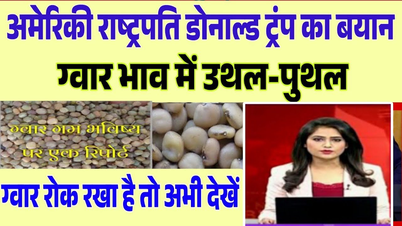 ग्वार गम निर्यात को मंजूरी ,अमेरिका से व्यापार पर सहमतीgwar gam  niryat khabar, gwar ka bhav