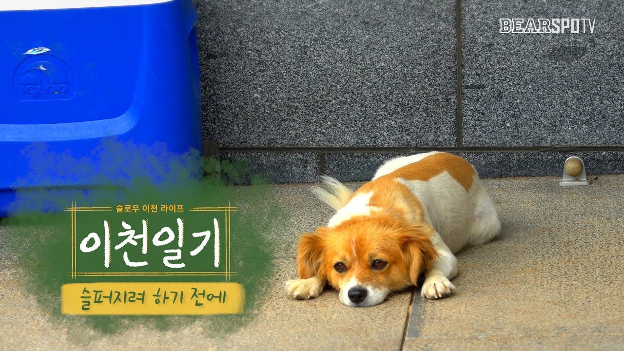 [이천일기] 10화, 슬퍼지려하기전에 (08.26)