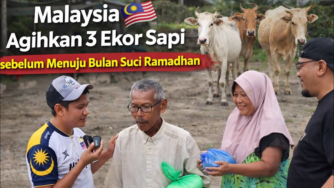 Tak Cuma-Cuma!! Malaysia Langsung Agihkan 3 Ekor Sapi Untuk Menyambut Ramadhan