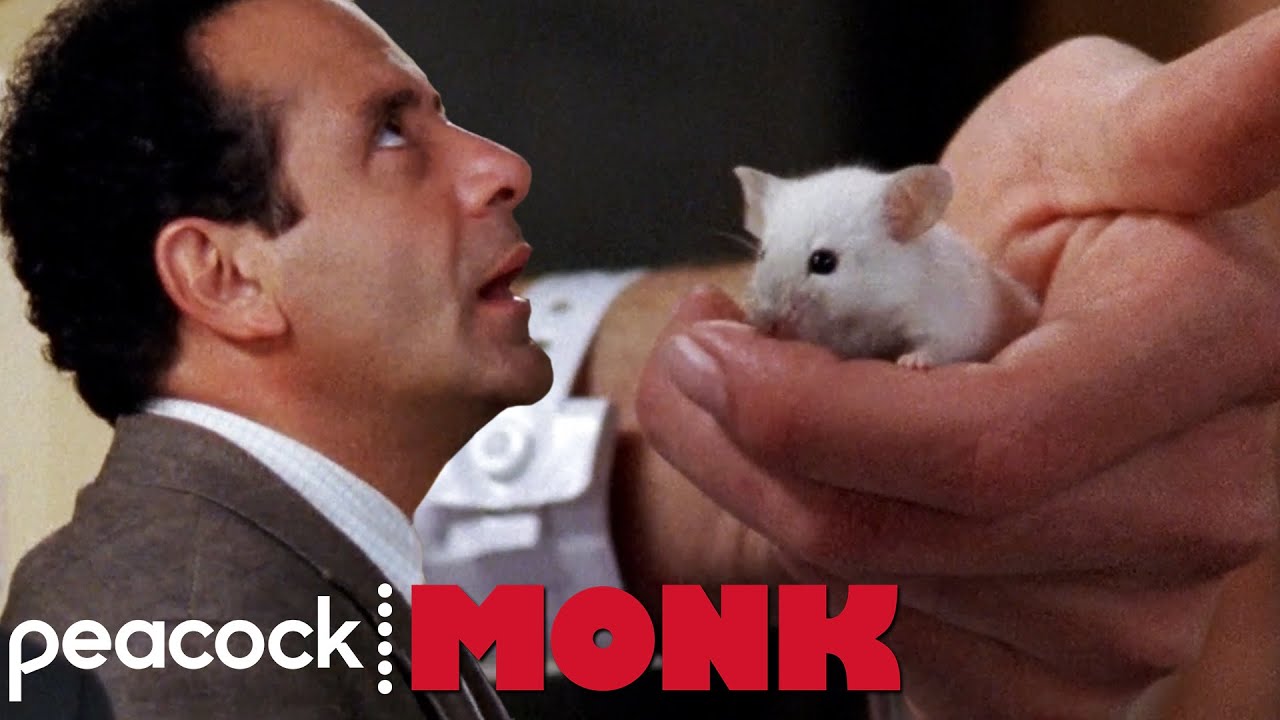 Adrian Meets Devo | Monk