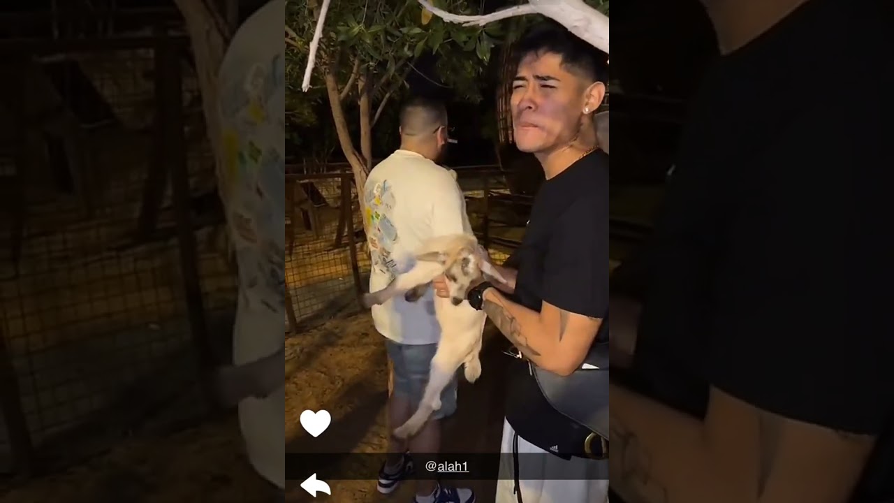 ضحى العريبي وحبيبها كانيتا وابو اسماعيل يقلد صوت الماعز 😂😂😂