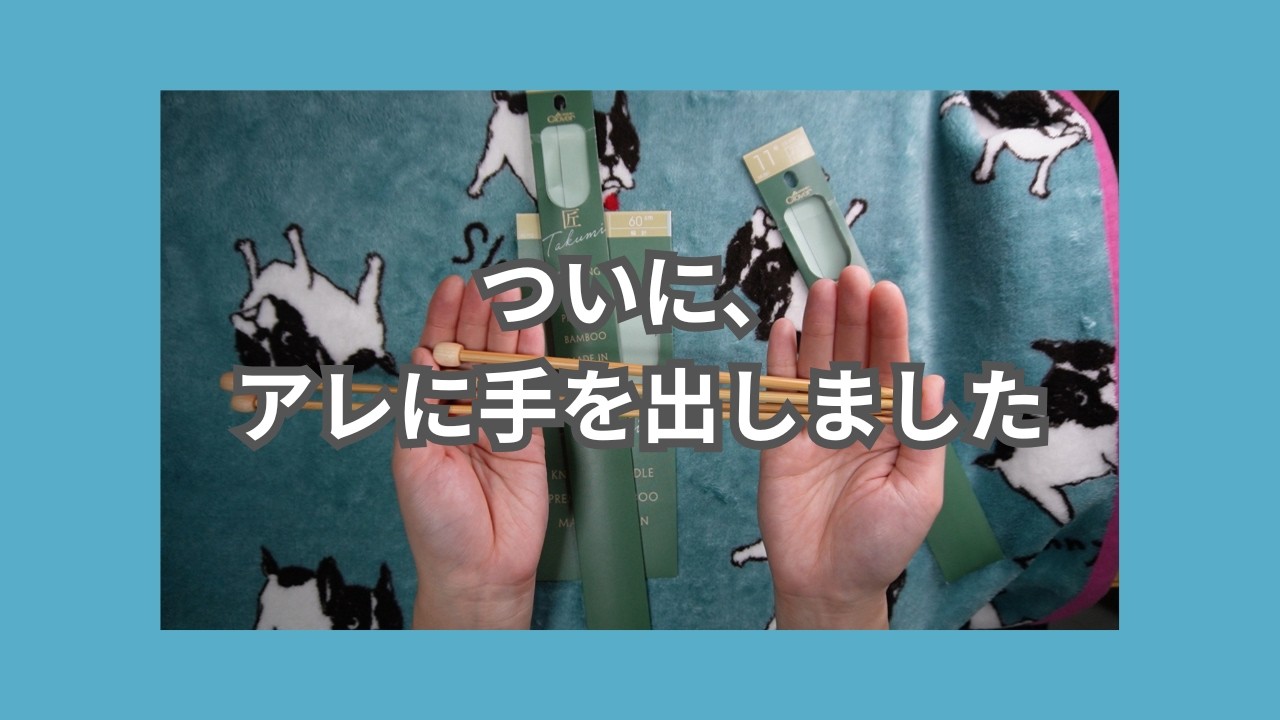 これまで手を出さないと思っていたアレについに手を出しました【編み物好きアラフォー】