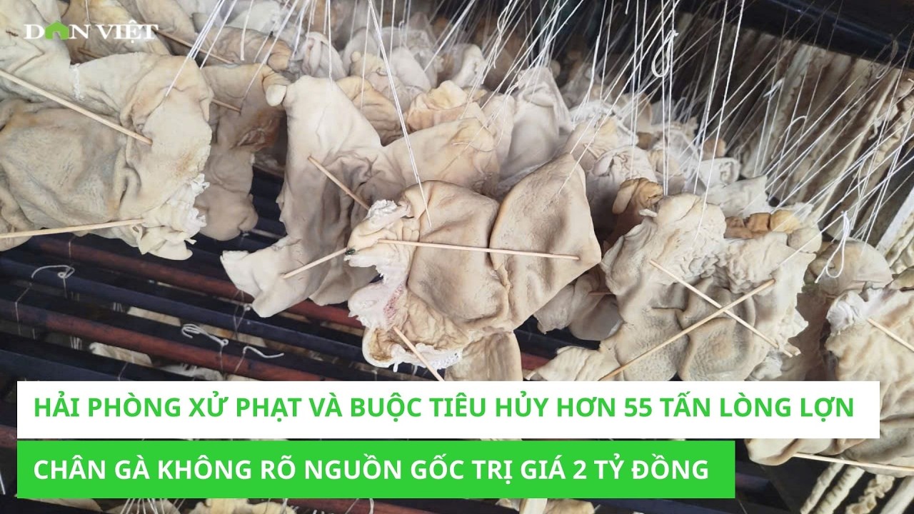 Hải Phòng xử phạt và buộc tiêu hủy hơn 55 tấn lòng lợn chân gà không rõ nguồn gốc trị giá 2 tỷ đồng