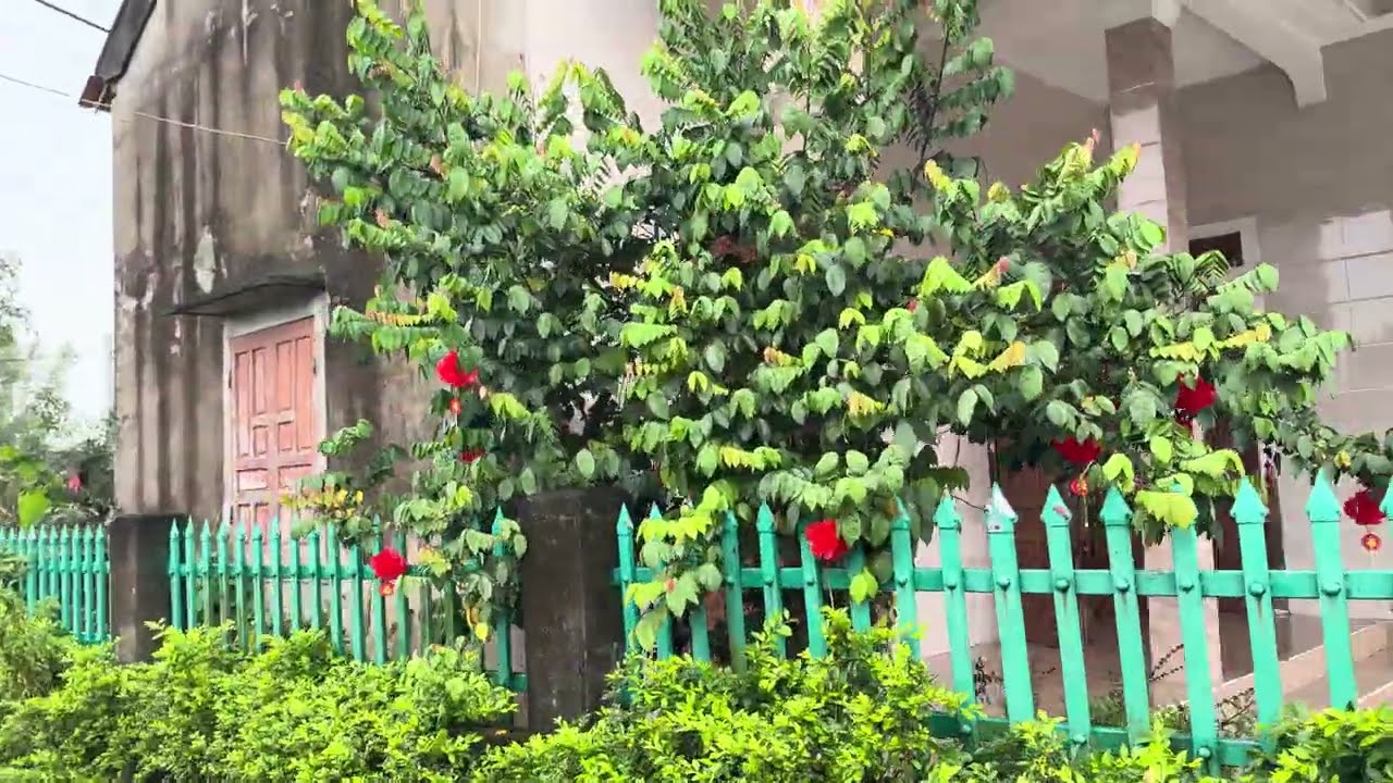 Mồng 4 tết 
