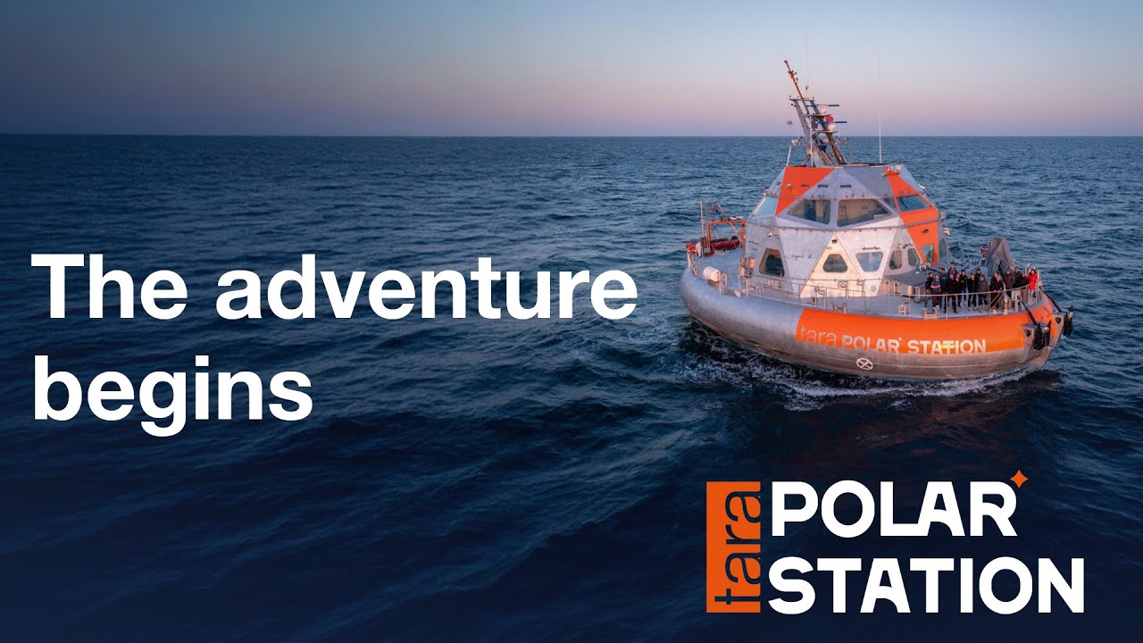 Tara Polar Station: A look back at the first sail to Lorient!