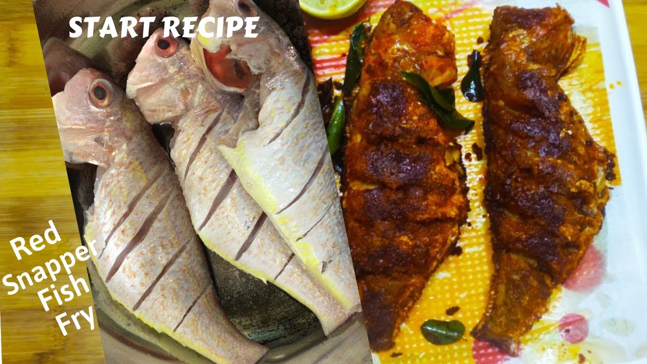 Simple & Tasty Red Snapper Fish Fry 😋😋😋| Sankara Fish Fry | How to make Fish Fry