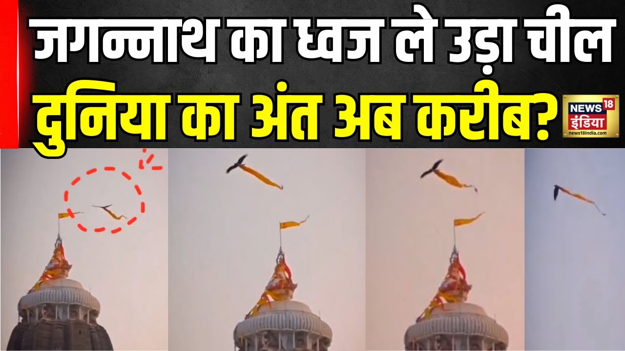 Jagannath Temple का ध्वज ले उड़ा चील, दुनिया का अंत अब करीब?| Viral | Puri Jagannath Temple Flag