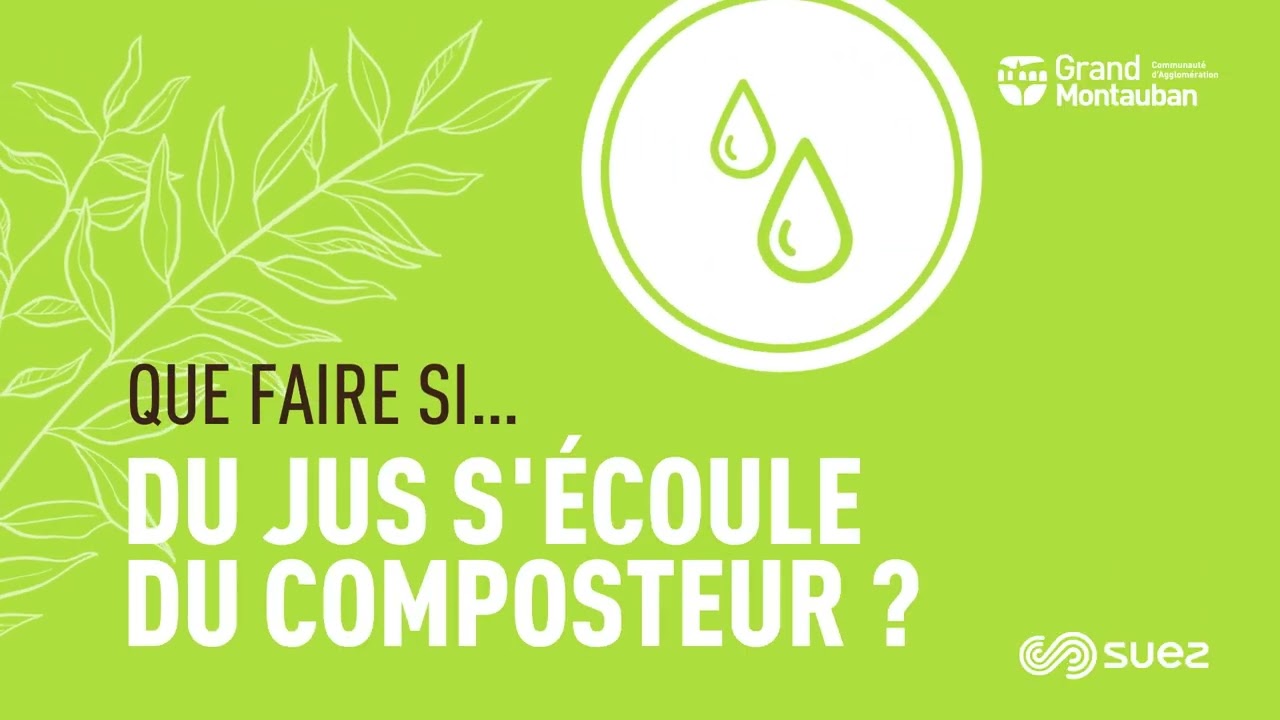Composter chez soi : les bons réflexes en cas de problèmes