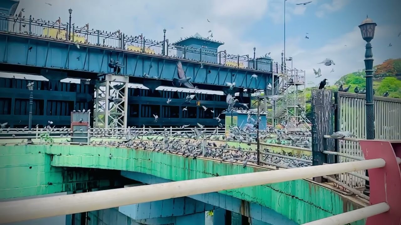 Bund garden Bridge Pune