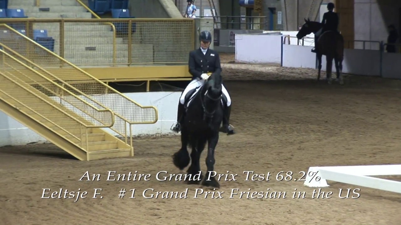 SOLD!! #1 Grand Prix Friesian in the US (65.95% Median) Enjoy this 68.2% Entire Test