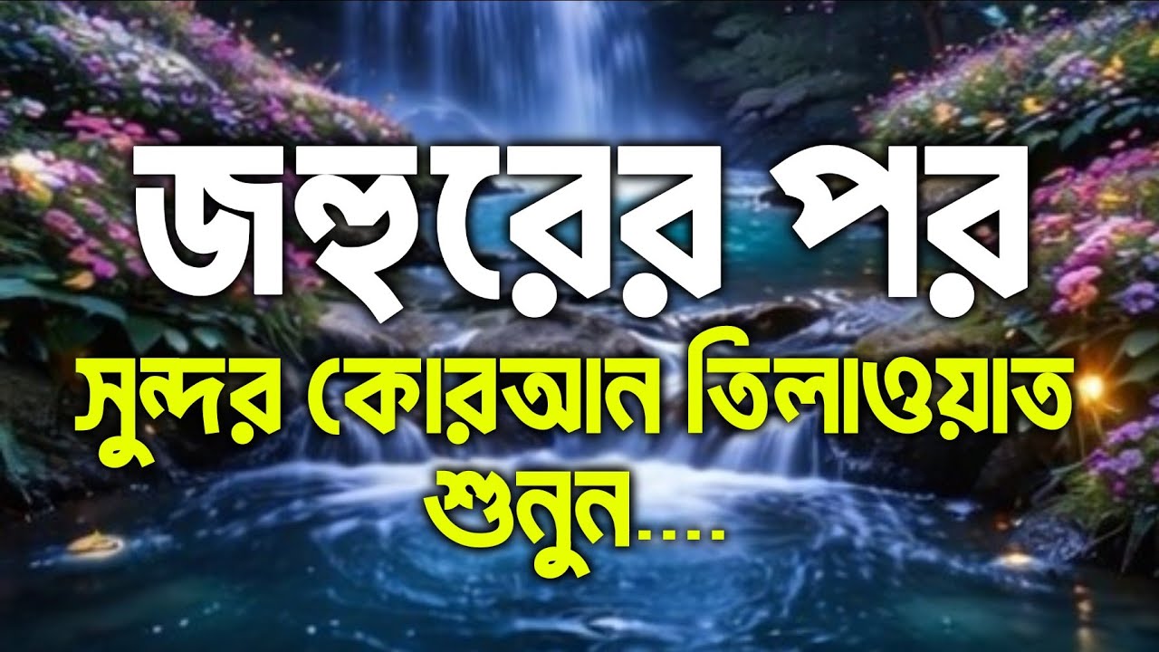 জহুরের পর সুন্দর কোরআন তিলাওয়াত শুনুন। ঘরে অফুরন্ত বরকত আসবে। দোকানে কাস্টমার সিরিয়াল ধরবে 