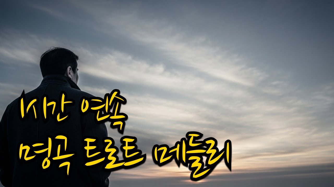 외로운 마음을 살며시 안아주는 트로트 연속듣기