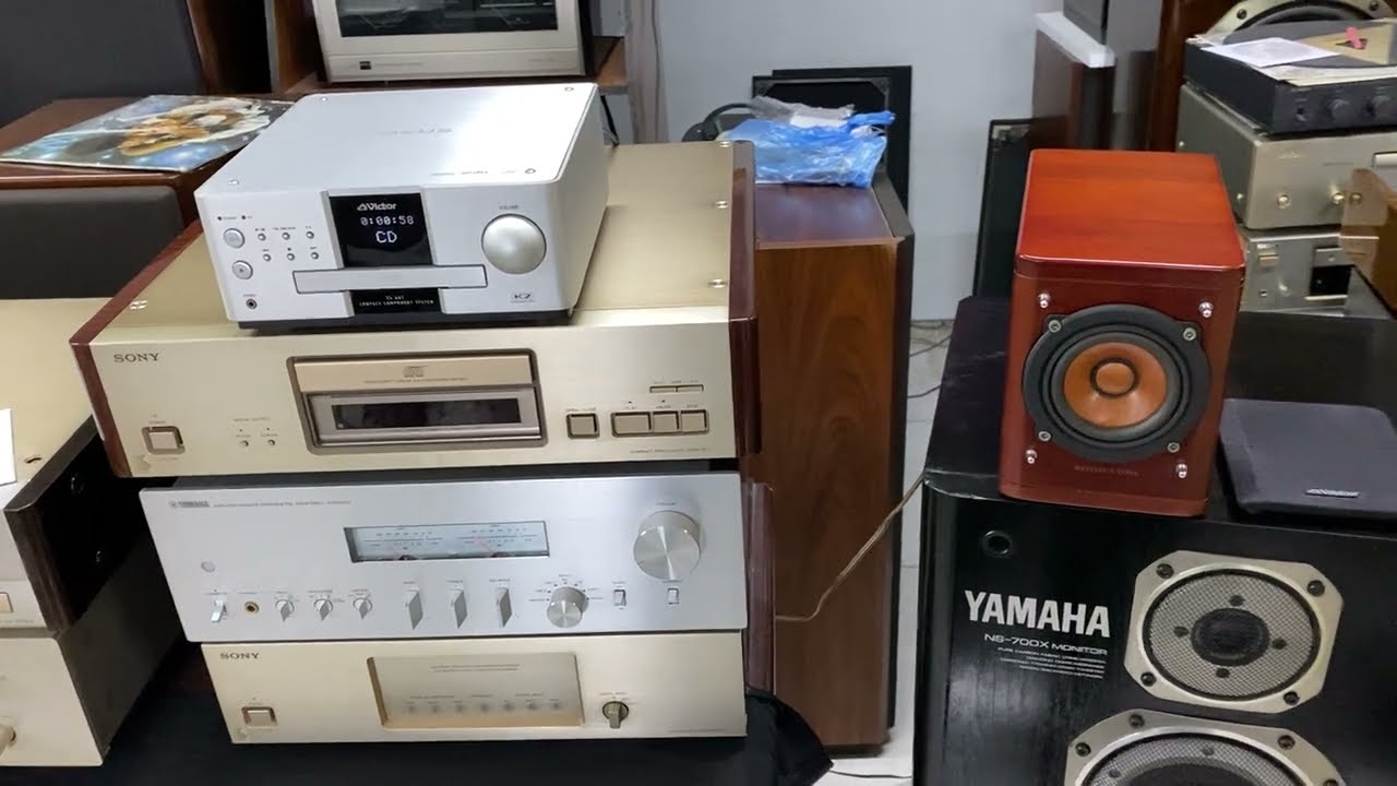 Виктор широкополосный и немного больше VICTOR wood cone