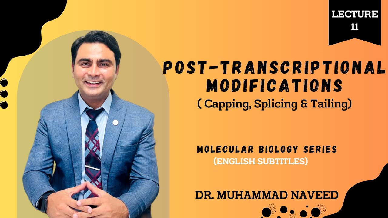 Post-Transcriptional Modifications | Capping | Splicing | Tailing | Lecture 11 | Dr. Muhammad Naveed