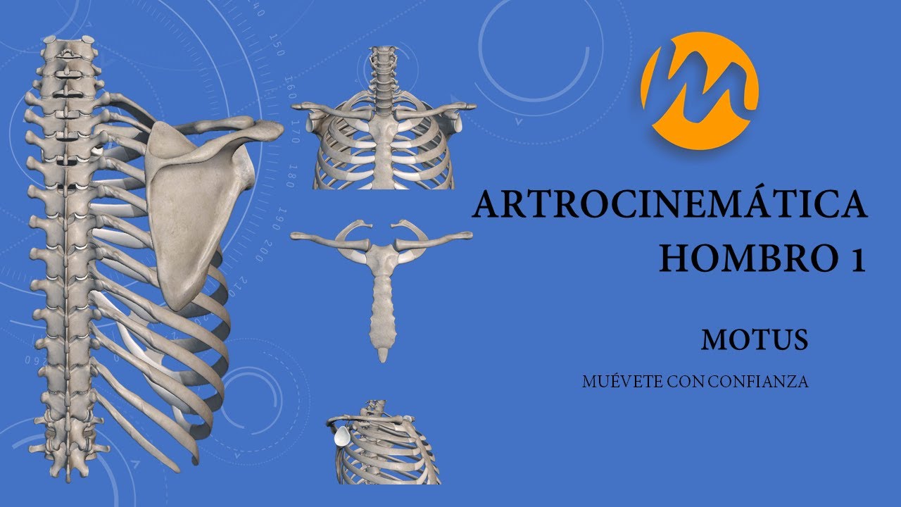 Artrocinemática Hombro 1 (Esternoclavicular - Acromioclavicular)
