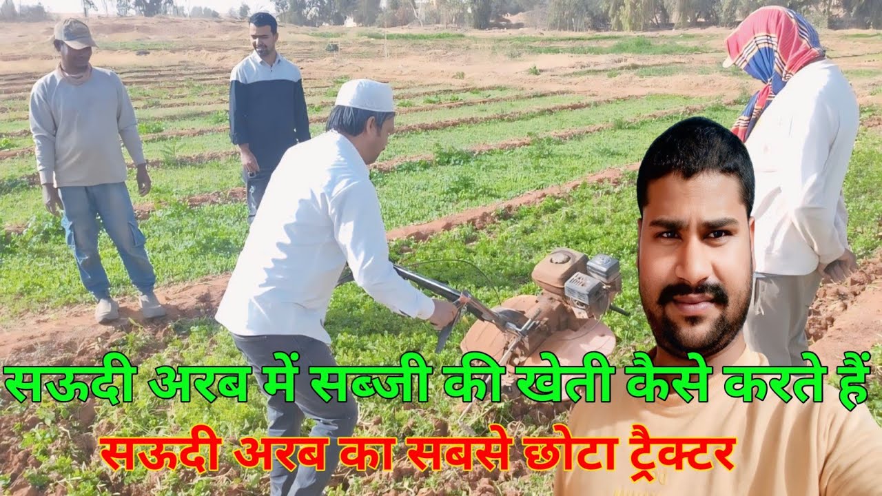 Saudi Arab Mein Sabji Ki Kheti Kaise Karte Hain Arvindup vlogs ✅ सऊदी अरब में सारी सब्जियां होता है